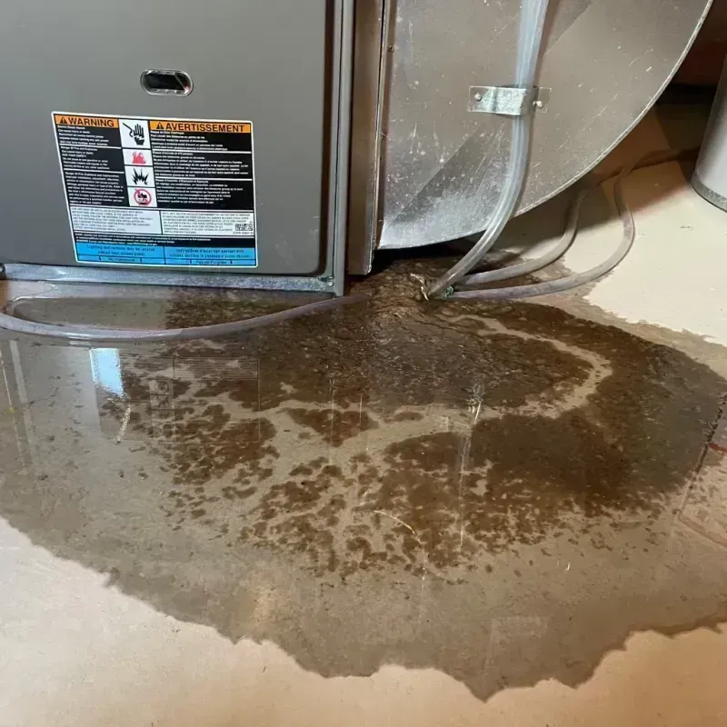 Appliance Leak Cleanup in Nokomis, IL